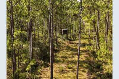 375 Buck Springs Road, Palatka, FL 32177 - Photo 50