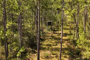 375 Buck Springs Rd, Palatka, FL 32177 - Photo 50