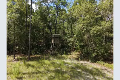 375 Buck Springs Road, Palatka, FL 32177 - Photo 30