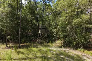 375 Buck Springs Rd, Palatka, FL 32177 - Photo 30