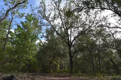 375 Buck Springs Road, Palatka, FL 32177 - Photo 42