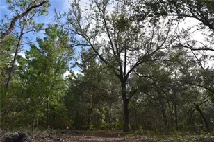 375 Buck Springs Rd, Palatka, FL 32177 - Photo 42