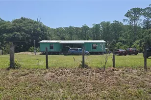 135 Starlight Rd, Crescent City, FL 32112 - Photo 1