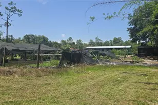 135 Starlight Rd, Crescent City, FL 32112 - Photo 34