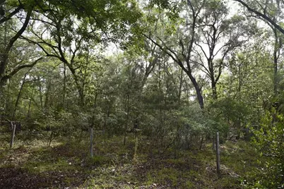 8650 NW 136th Avenue, Chiefland, FL 32626 - Photo 86