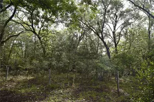 8650 NW 136 Ave, Chiefland, FL 32626 - Photo 86