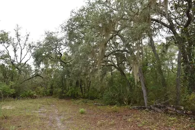 8650 NW 136th Avenue, Chiefland, FL 32626 - Photo 76