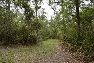 8650 NW 136th Avenue, Chiefland, FL 32626 - Photo 74