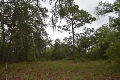 8650 NW 136th Avenue, Chiefland, FL 32626 - Photo 94