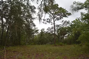 8650 NW 136 Ave, Chiefland, FL 32626 - Photo 94