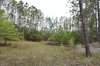 8650 NW 136th Avenue, Chiefland, FL 32626 - Photo 78