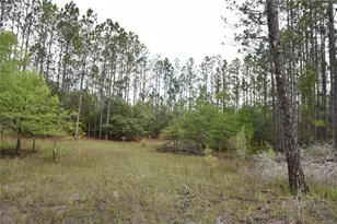 8650 NW 136 Ave, Chiefland, FL 32626 - Photo 78