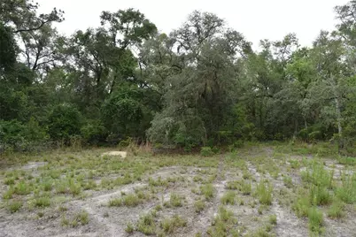 8650 NW 136th Avenue, Chiefland, FL 32626 - Photo 50