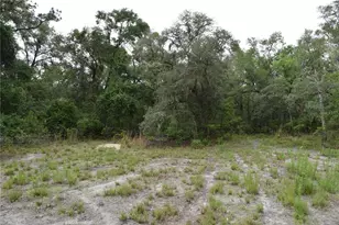 8650 NW 136 Ave, Chiefland, FL 32626 - Photo 50