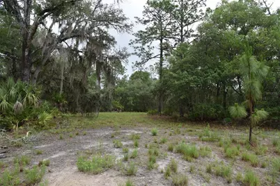 8650 NW 136th Avenue, Chiefland, FL 32626 - Photo 90