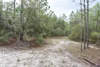 8650 NW 136th Avenue, Chiefland, FL 32626 - Photo 96