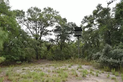 8650 NW 136th Avenue, Chiefland, FL 32626 - Photo 52