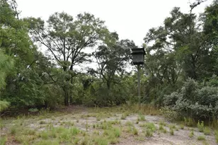 8650 NW 136 Ave, Chiefland, FL 32626 - Photo 52