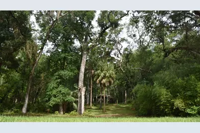 8650 NW 136th Avenue, Chiefland, FL 32626 - Photo 4