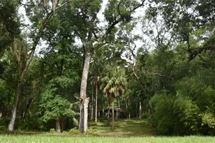 8650 NW 136 Ave, Chiefland, FL 32626 - Photo 4