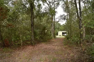 8650 NW 136 Ave, Chiefland, FL 32626 - Photo 62