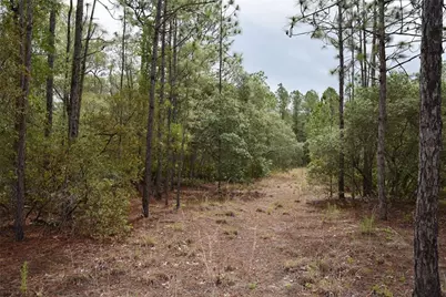 8650 NW 136th Avenue, Chiefland, FL 32626 - Photo 100