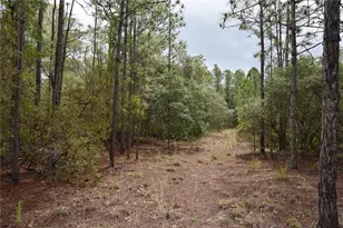 8650 NW 136 Ave, Chiefland, FL 32626 - Photo 100