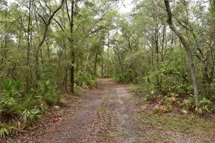 8650 NW 136 Ave, Chiefland, FL 32626 - Photo 60
