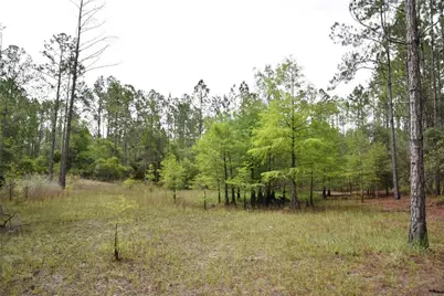 8650 NW 136th Avenue, Chiefland, FL 32626 - Photo 80