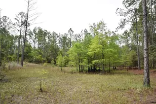 8650 NW 136 Ave, Chiefland, FL 32626 - Photo 80