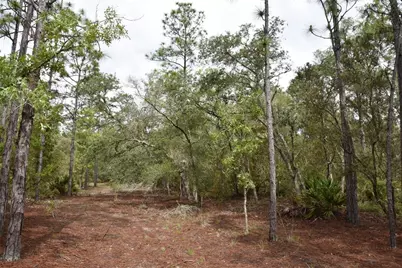 8650 NW 136th Avenue, Chiefland, FL 32626 - Photo 98