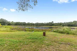 14642 NE 111 Terrace, Fort Mc Coy, FL 32134 - Photo 38