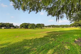 26860 White Plains Way, Leesburg, FL 34748 - Photo 4