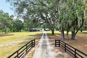 12499 E Hwy 25, Ocklawaha, FL 32179 - Photo 60