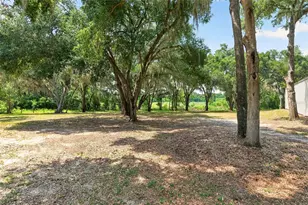 12499 E Hwy 25, Ocklawaha, FL 32179 - Photo 96