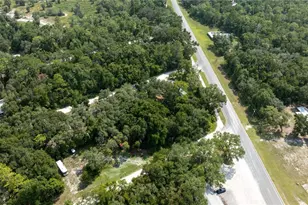 49 NE 472nd Ave, Old Town, FL 32680 - Photo 16