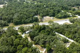 49 NE 472nd Ave, Old Town, FL 32680 - Photo 18