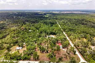 10890 NE 102nd Pl, Archer, FL 32618 - Photo 48
