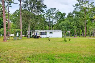 10890 NE 102nd Pl, Archer, FL 32618 - Photo 12