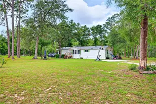 10890 NE 102nd Pl, Archer, FL 32618 - Photo 14