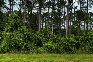 191 Boulder Rock Dr, Palm Coast, FL 32137 - Photo 1