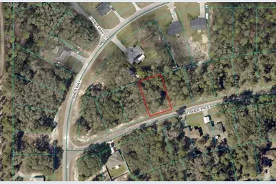 Lot 8 Fisher Trace, Ocklawaha, FL 32179 - Photo 2