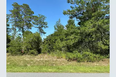 Tbd SW 35th Avenue Road, Ocala, FL 34473 - Photo 1
