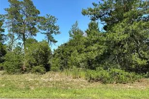 Tbd SW 35th Ave Rd, Ocala, FL 34473 - Photo 1