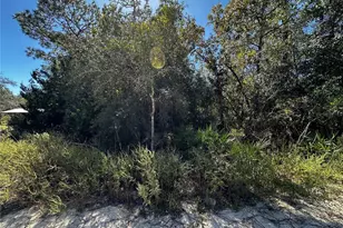 Tbd NE 65th Ln, Bronson, FL 32621 - Photo 1