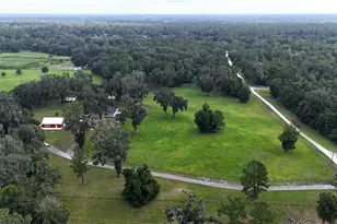 8410 NE 155th Ave, Williston, FL 32696 - Photo 66