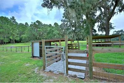 8410 NE 155th Avenue, Williston, FL 32696 - Photo 58