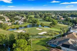 9095 Laurel Ridge Dr, Mount Dora, FL 32757 - Photo 52