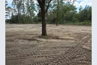 Tbd SE 40th Street, Morriston, FL 32668 - Photo 4