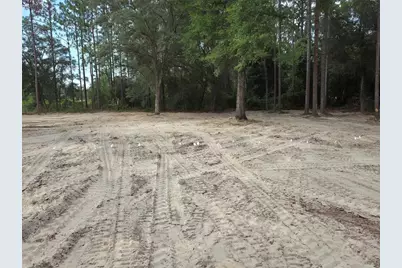 Tbd SE 40th Street, Morriston, FL 32668 - Photo 2